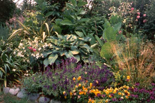 Lots of contrast of foliage and form. lots of contrast of foliage and form