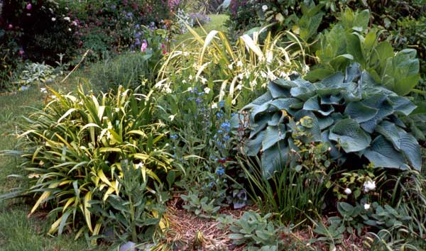 mixed plantings with the emphasis on foliage mixed plantings with the emphasis on foliage