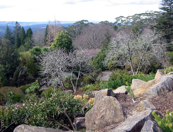 Now I want a sloping rockery. Now I want a sloping rockery.