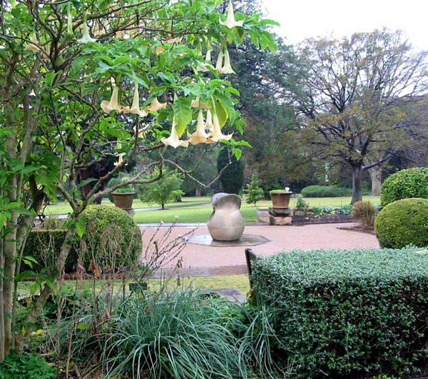 Beautiful in mid-winter - and in the rain! Beautiful in mid-winter - and in the rain!