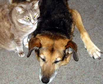 With faithful cat companion Jerome. With faithful cat companion Jerome.