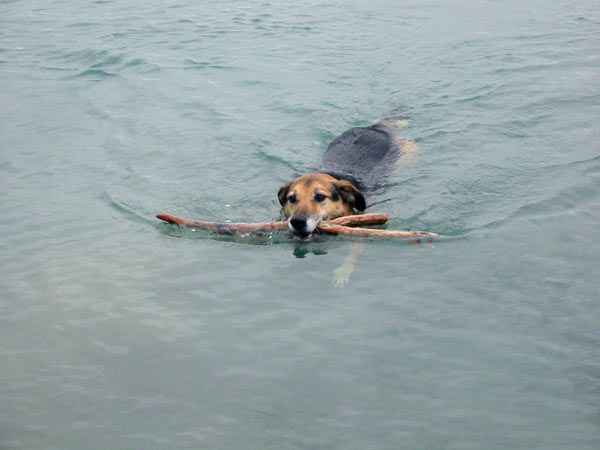 Water's still cold. Water's still cold.
