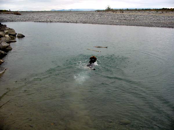 Water's cold. Water's cold.