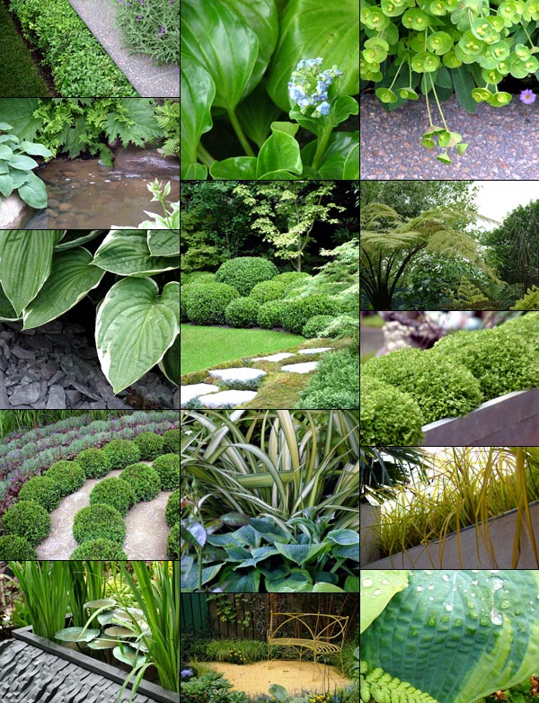 Green was used to such varying effect in this year's Chelsea gardens. Green was used to such varying effect in this year's Chelsea gardens.