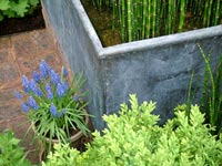 bamboo-container-hyacinth