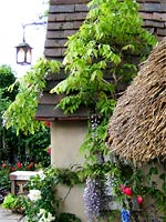 cottage-climbers
