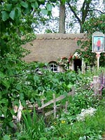 english-country-hedge