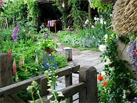 lupins-thatched-cottage