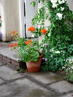 paving-pot