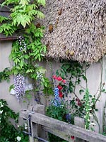 thatched-cottage