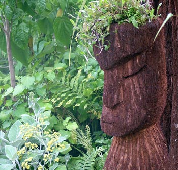 The ferns were carefully selected and blessed by Maori elders. The ferns were carefully selected and blessed by Maori elders.