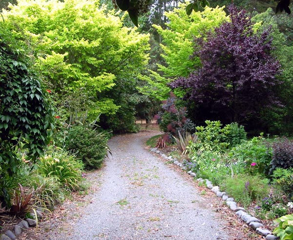 The new garden is recently planted in this photograph. The new garden is recently planted in this photograph.
