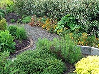 herbs-elegeanus