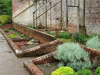 thyme-bed