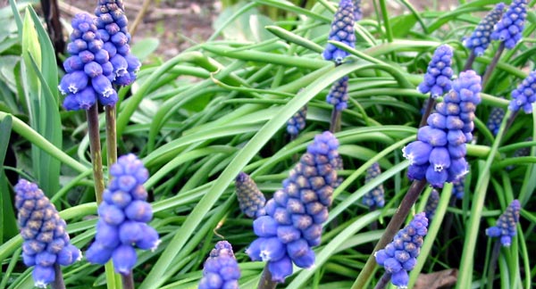 Beautiful blues. Beautiful blues.