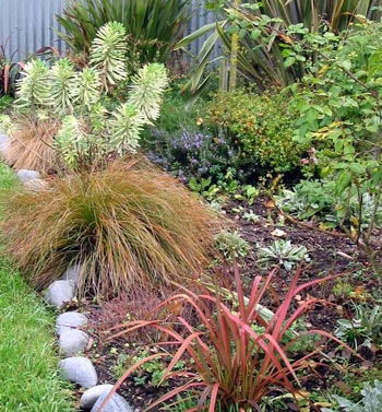 This plant is taking years to grow in size! This plant is taking years to grow in size!