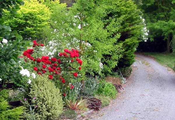 Red and white - a great pair. Red and white - a great pair.