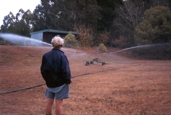 I couldn't garden here successfully without some form of irrigation. I couldn't garden here successfully without some form of irrigation.