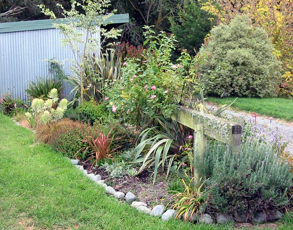The small flax is called Phormium Jester. The small flax is called Phormium Jester.