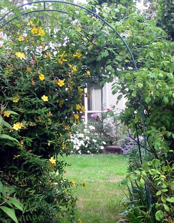 Looking back at the house and the lounge bay window. Looking back at the house and the lounge bay window.
