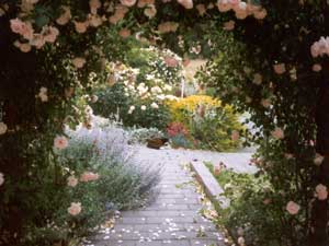 This is the view from looking out from the french doors. This is the view from looking out from the french doors.