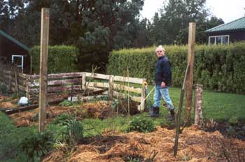 This photo was taken mid winter when the new rose garden was first being planted. This photo was taken mid winter when the new rose garden was first being planted.