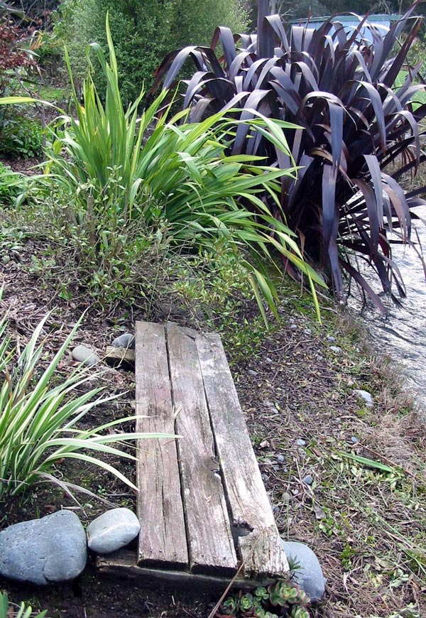 Flaxes love growing by the water race. Flaxes love growing by the water race.