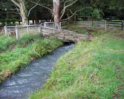 The water in the race comes from the mountains via the Waimakariri River. It's cold! The water in the race comes from the mountains via the Waimakariri River. It's cold!