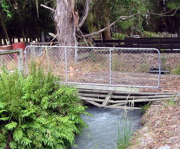 You can see the fence-line Eucalypts. You can see the fence-line Eucalypts.