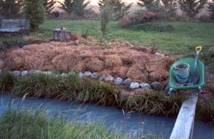 Unless the Plank moves, this garden is finished. Unless the Plank moves, this garden is finished.