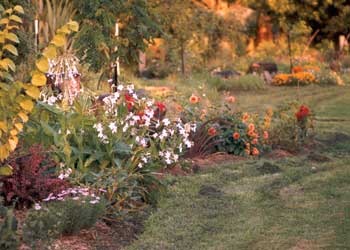 The plantings in Middle Border are starting to mature. The plantings in Middle Border are starting to mature.
