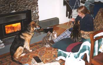 All my best friends are gathered around. All my best friends are gathered around.