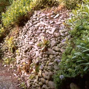 Stones collected from the property make this retaining 'drystone' wall. Stones collected from the property make this retaining 'drystone' wall.