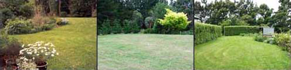 Looking good only when freshly mown... Looking good only when freshly mown...