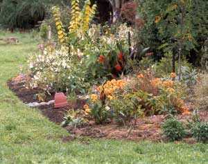 I think this border is finally the right size. I think this border is finally the right size.