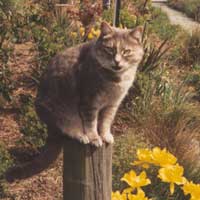 This is Jerome sitting on a post over the water race. This is Jerome sitting on a post over the water race.