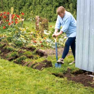Digging to make the potager bigger. Digging to make the potager bigger.