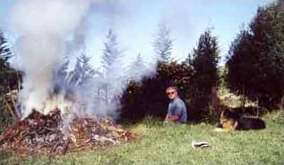  This is my burning heap, situated close by the water race should I need water in a hurry. 