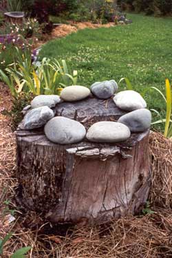 I think that my artistic son is making fun of me here. These stones are just resting! I think that my artistic son is making fun of me here. These stones are just resting!