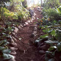 This path leads from the seat to the glasshouse. This path leads from the seat to the glasshouse.