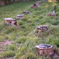 email photos of unwanted pots to : Moosey@Moo... email photos of unwanted pots to : Moosey@Moo...