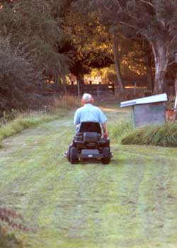 Stephen the garden waterer and lawn mower has returned from conferences in the USA - I love the newly mown lawn look! Stephen the garden waterer and lawn mower has returned from conferences in the USA - I love the newly mown lawn look!
