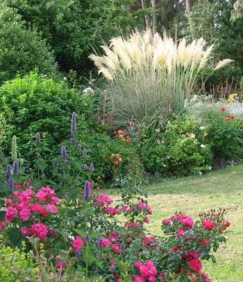 The Toe Toe looks very well manicured this summer. The Toe Toe looks very well manicured this summer.