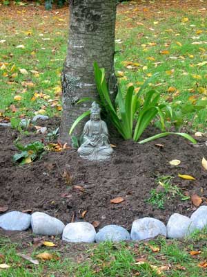 I have freshly planted the circle garden under the tree with shade lovers. I have freshly planted the circle garden under the tree with shade lovers.