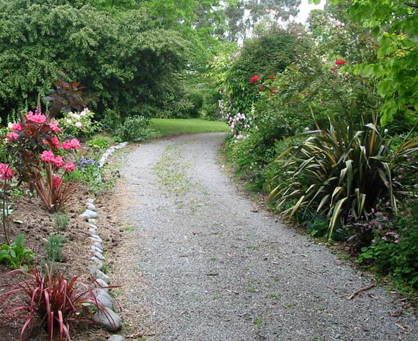 The new rhodos are filling out nicely in here. The new rhodos are filling out nicely in here.