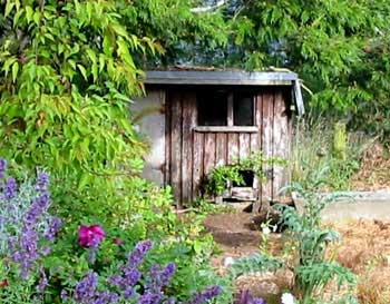 rustic ambience. rustic ambience.