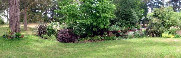 This is the view from the house decking towards the pond paddock. This is the view from the house decking towards the pond paddock.