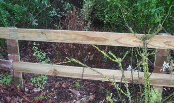 As soon as it gets warmer, and before the roses grow too much, I'll paint this bit. As soon as it gets warmer, and before the roses grow too much, I'll paint this bit.