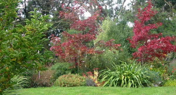 This is a view of the Oak Tree Garden from Duck-Lawn. Unfortunately this lawn has been duckless since the year it was named. This is a view of the Oak Tree Garden from Duck-Lawn. Unfortunately this lawn has been duckless since the year it was named.