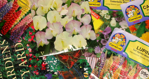 I am determined to look after my seeds this year. I am determined to look after my seeds this year.